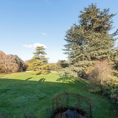 Chateau De Didonne Sémussac