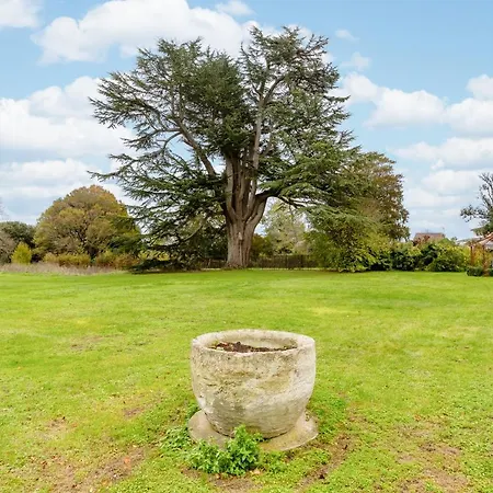 酒店 Chateau De Didonne 3*