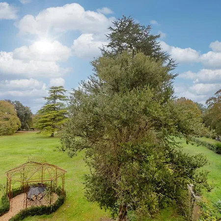 Chateau De Didonne Sémussac