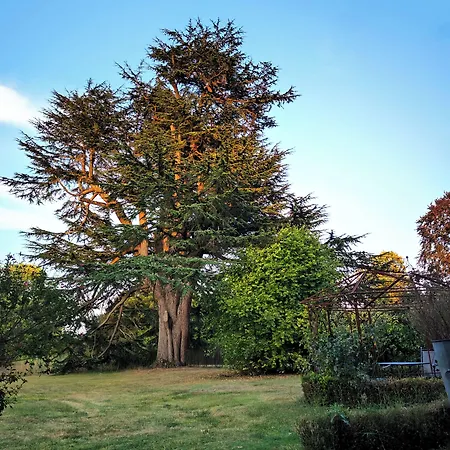 Chateau De Didonne 酒店