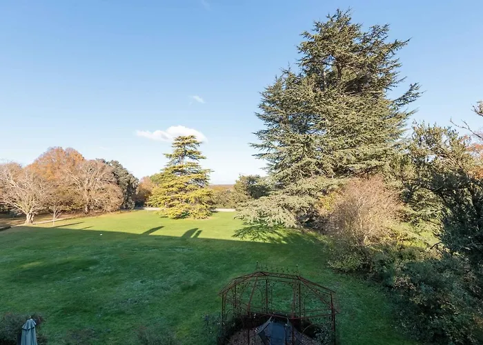 Chateau De Didonne Sémussac