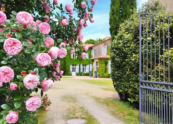 Hotel Chateau De Didonne 3*