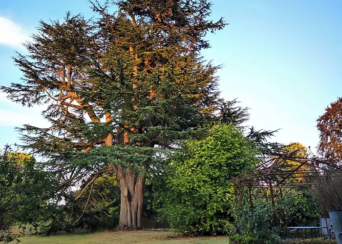 Chateau De Didonne Hotel