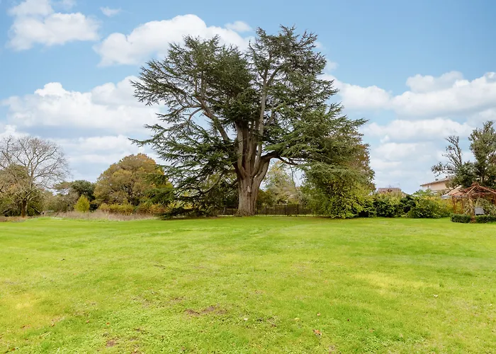 Chateau De Didonne Hotel 3*